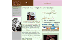 Desktop Screenshot of careyschillig.com